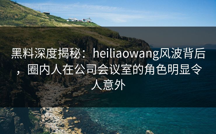 黑料深度揭秘：heiliaowang风波背后，圈内人在公司会议室的角色明显令人意外