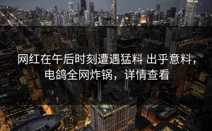 网红在午后时刻遭遇猛料 出乎意料，电鸽全网炸锅，详情查看