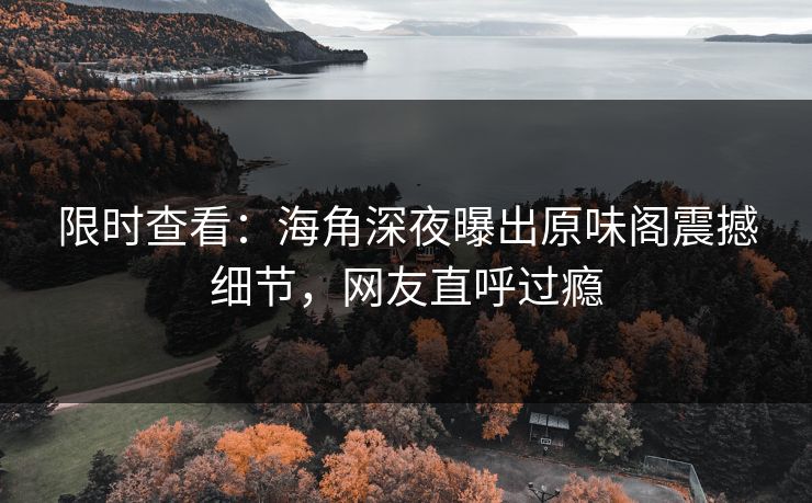 限时查看：海角深夜曝出原味阁震撼细节，网友直呼过瘾