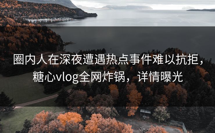 圈内人在深夜遭遇热点事件难以抗拒,糖心vlog全网炸锅,详情曝光