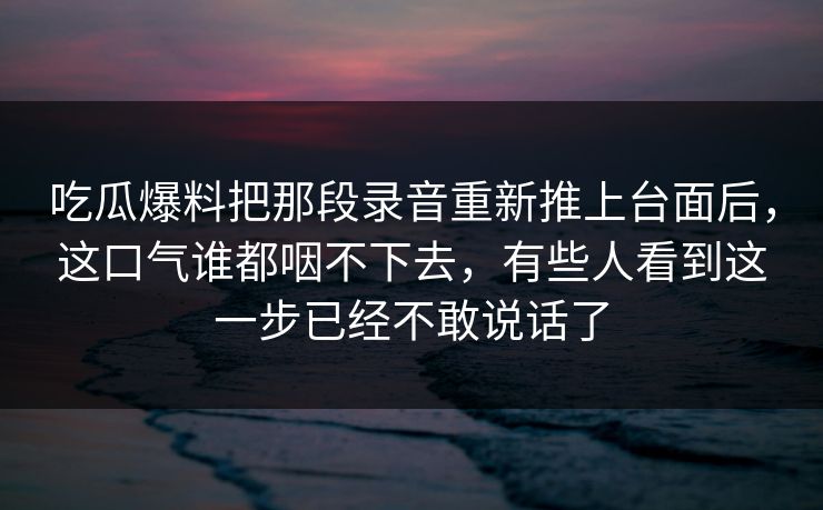 吃瓜爆料把那段录音重新推上台面后，这口气谁都咽不下去，有些人看到这一步已经不敢说话了